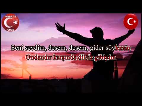 Saçımın Akına Bakma Sultanım *Seyfi DOĞANAY*