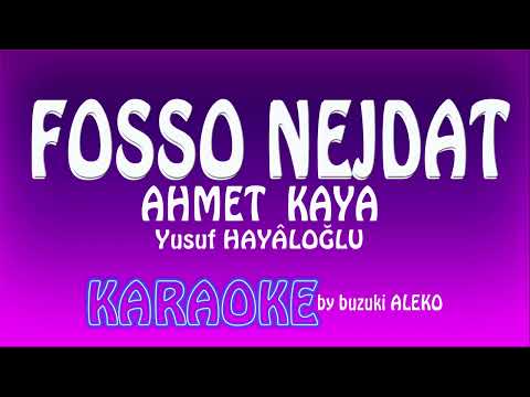 Fosso Nejdat