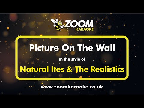 Natural Ites & The Realistics - Picture On The Wall