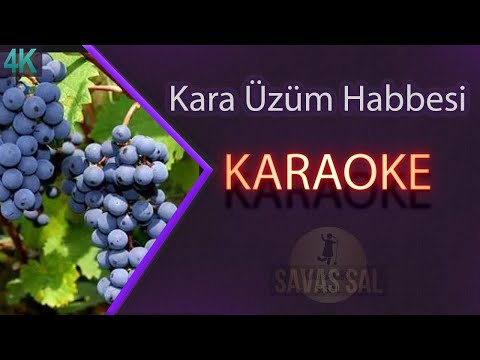 Kara Üzüm Habbesi