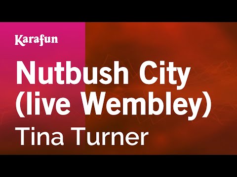 Tina Turner - Nutbush City (live Wembley)