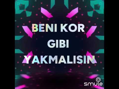 Vermem seni ellere