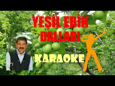Nurettin Rençber - Yeşil Erik Dalları