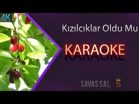 Kızılcıklar Oldu Mu Traditional Folk Song
