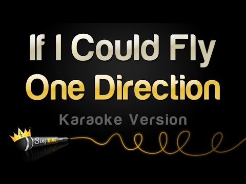 One Direction - If I Could Fly
