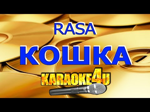 RASA - Кошка