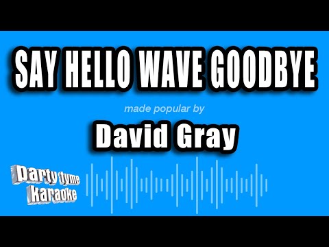 David Gray - Say Hello Wave Goodbye