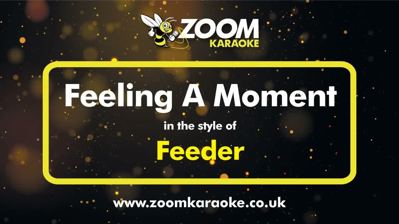 Feeder - Feeling A Moment (Without Backing Vocals)