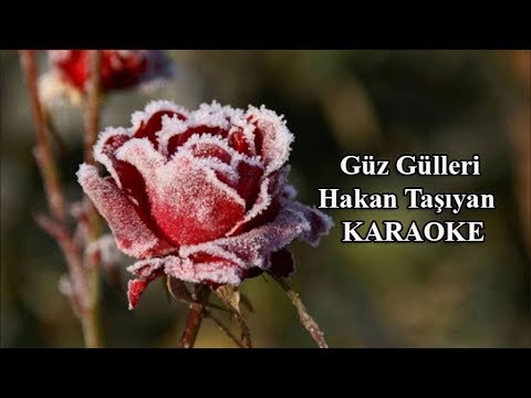 Güz Gülleri Hakan Taşıyan KARAOKE Enstrümantal