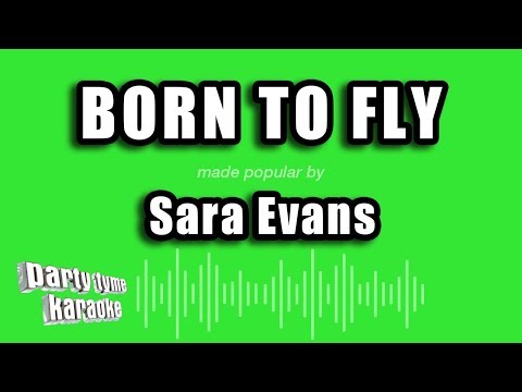 Sara Evans - Born To Fly