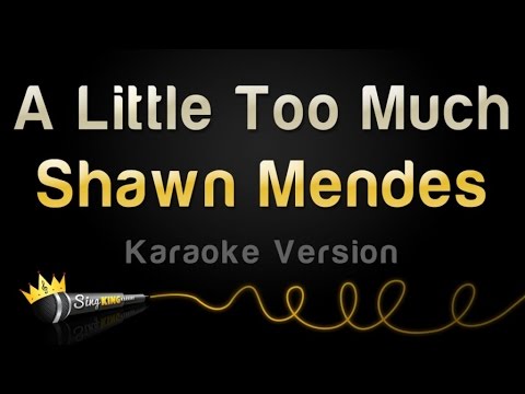 Shawn Mendes - A Little Too Much