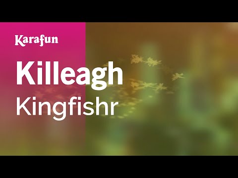 Kingfishr - Killeagh