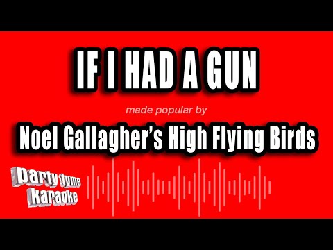 Noel Gallagher's High Flying Birds - If I Had A Gun