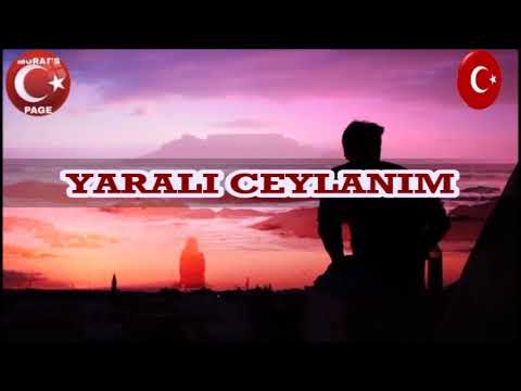 YARALI CEYLANIM
