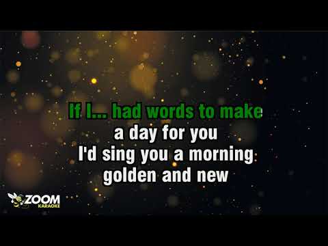 Scott Fitzgerald & Yvonne Keeley - If I Had Words (Duet Version)