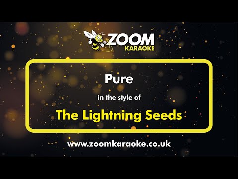 The Lightning Seeds - Pure