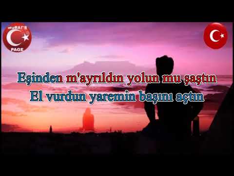 Bir Çift Turna Gördüm